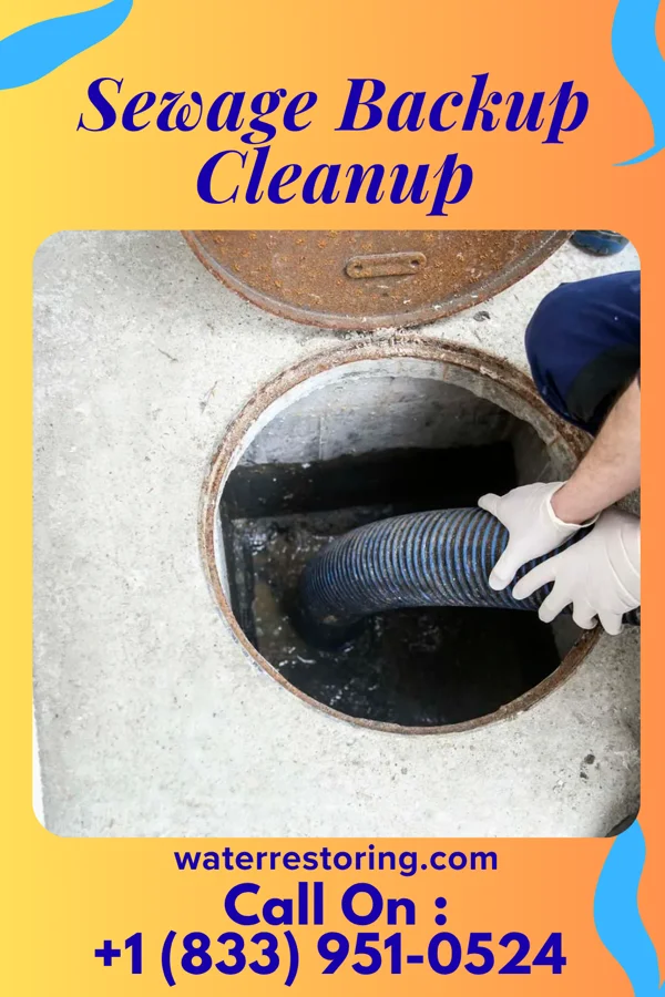 Sewage Backup Cleanup in Grand Falls Plaza, MO